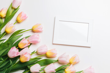 Wall Mural - Light pink and yellow blooming tulips flowers row and white picture frame over white background. Spring holiday banner, happy easter card, mothers day concept. Flat lay, top view, copy space