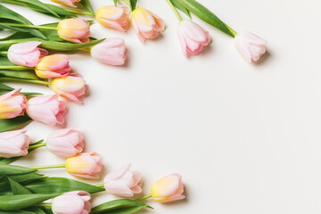 Wall Mural - Light pink and yellow blooming tulips flowers row over white background. Spring holiday banner, frame, border, happy easter card, mothers day, international womans day. Flat lay, top view, copy space