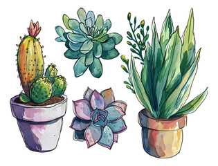 Wall Mural - Succulent plant hand-painted watercolor elements