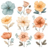Fototapeta Młodzieżowe - Variety of pastel Flowers as a symbol of joy on a white background