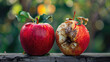 comparison of a good red apple with a bad rotten one, sunny bokeh