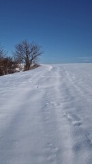 Wall Mural - Beautiful winter scene with a snow covered land near the forest