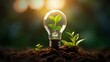 Light bulb with a plant growing inside, the environment and sustainable energy