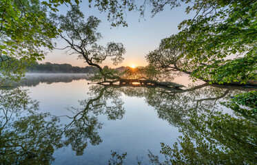 Canvas Print - Serene lake with green trees illuminated by morning sunlight