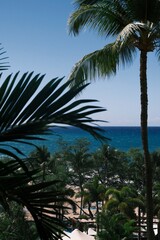 Canvas Print - Serene Hawaii landscape on a bright sunny day