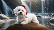 highly intricately detailed photograph of   Cute sitting Bichon Havanese puppy dog in Christmas santa hat in front of a waterfall 