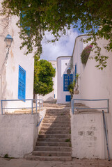 Wall Mural - Sidi Bou Said