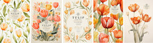 Tulips. Spring Flowers. Watercolor Elegant Bright Illustration Of Floral Seamless Pattern, Frame, Border, Leaves, Logo For Abstract Greeting Card, Wedding Invitation Or Background