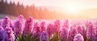 Rows of fields of purple Lavender flowers with a beautiful sunset in the background. generative AI