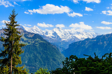 Poster - View of Bernese Alps from Harder Kulm viewpoint, Switzerland