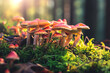 Mushrooms in the forest. Background with selective focus and copy space