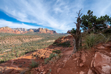 Wall Mural - Viewpoint at the Cathedral Rock trail, in Sedona Arizona