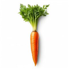 Wall Mural - Carrot isolated on white background