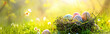 Buntes Osternest mit Eiern im Gras an einem sonnigen Frühlingstag - Osterdekoration, Banner, Panorama, Hintergrund