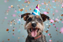 A Festive Terrier Steals The Show With Its Adorable Party Hat, Making Every Pet Owner Wish They Had A Pup As Stylish And Playful As This One