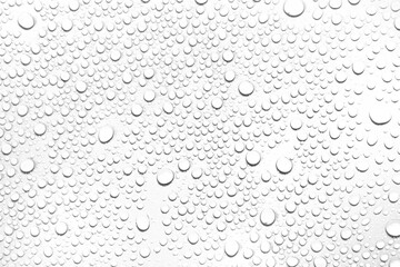 Aufkleber - Isolated water drops against transparent background.