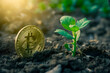 Grüne Digitalisierung: Nachhaltige Bitcoin-Illustration als Symbol für umweltfreundliche Finanzinnovation und ökologische Verantwortung