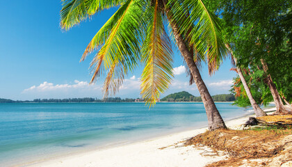 Wall Mural - beautiful coconut palm tree on tropical beach