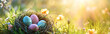 Buntes Osternest mit Eiern im Gras an einem sonnigen Frühlingstag - Osterdekoration, Banner, Panorama, Hintergrund