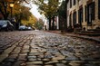  a cobblestone street with cars parked on the side of the street and trees on the other side of the street with leaves on the ground and leaves on the ground.