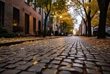 Fototapeta Uliczki -  a cobblestone street in the fall with leaves on the ground and a few cars parked on the side of the street on the other side of the street.