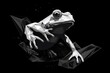  a black and white frog sitting on top of a piece of paper with a black background and stars in the sky in the background, and a black background with white origable.