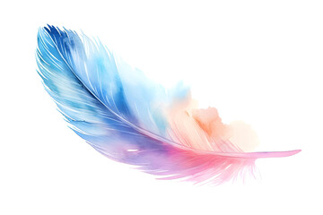 Wall Mural - Soft pastel detailed feather in watercolor style isolated on white background