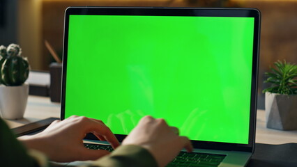 Wall Mural - businesswoman using mockup devices at workplace closeup. hands typing laptop