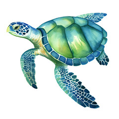 Wall Mural - AI-generated watercolor Sea Turtle clip art illustration. Isolated elements on a white background.