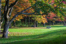A Picnic Area In The Fall Colors