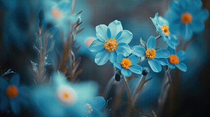 Wall Mural - A close-up view of a bunch of blue flowers. Perfect for adding a touch of color to any project or design