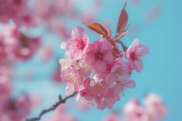 Poster - A close-up view of a pink flower on a tree. This vibrant flower can add a touch of beauty to any project or design