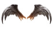Set of angel and devil realistic wings horns and halo isolated on transparent background