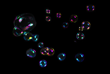 Wall Mural - Soap bubbles isolated on a black background