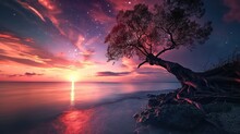 A Tree Sitting On Top Of A Beach Next To A Body Of Water Under A Sky Filled With Stars And A Bright Orange And Purple Sunset Behind It Is A Body Of Water.