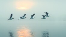 Elegant Flight Of Birds Over Tranquil Water