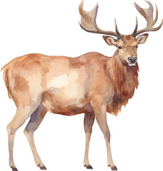 Aufkleber - Elk watercolor created with Generative AI technology