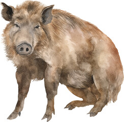 Poster - Boar watercolor created with Generative AI technology