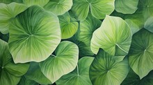  A Close Up Of A Painting Of A Large Green Leafy Plant With Green Leaves On It's Sides.