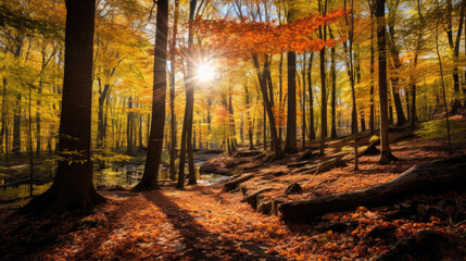 Wall Mural - A vibrant autumn forest photo contrasts lush greenery with falling colorful leaves, capturing nature's seasonal transformation.