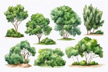 Set Of Watercolor Trees And Bushes Isolated On White Backdrop, Forest Collection,  Summer Green Foliage