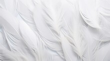  A Close Up Of A White Feather Wallpaper With Lots Of White Feathers On The Side Of A White Wall.
