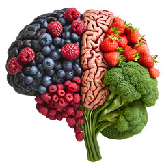 Healthy Brain Food Concept: Berries and Broccoli Brain Representation