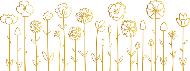 Wall Mural - Spring Flowers Line Art Vector Illustration, Botanical Floral Drawing, Blossom Outline, Decorative Spring Elements. Doodle floral border Minimalistic golden linear line vector, Floral, summer flowers