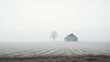  a house in the middle of a field with a tree in the distance and a foggy sky in the background.