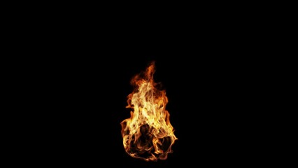 Canvas Print - animated fire isolated on black background, 4k seamless loop