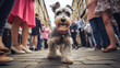 Dog’s perspective. A curious dog explores a bustling street, surrounded by the anonymous legs of city wanderers, capturing the essence of urban life