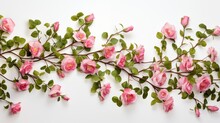 A Branch Of Pink Roses With Lush Green Leaves, Showcasing The Delicate Beauty Of Nature's Floral Masterpiece.
