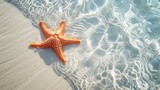 Fototapeta  - Starfish on the sand beach in clear sea water. Summer background. Summer time .Copy space. Relaxing on the beach.