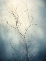 Canvas Print - A tree with bare branches in the fog. Generative AI.